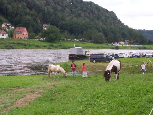 Bild 166