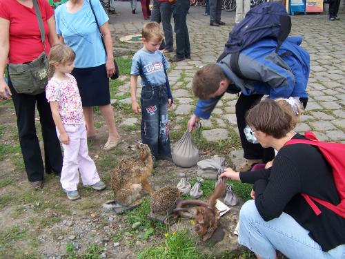 Bild 172
