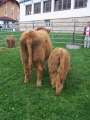 Bild 023