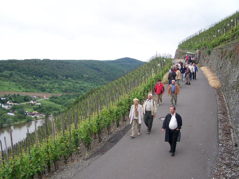 Mosel-2006 067