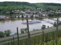 Mosel-2006 061