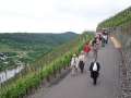 Mosel-2006 067