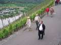 Mosel-2006 068